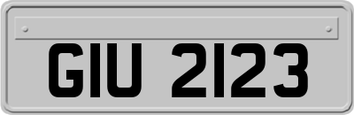 GIU2123