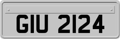 GIU2124