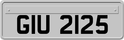 GIU2125