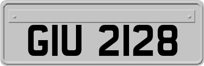 GIU2128