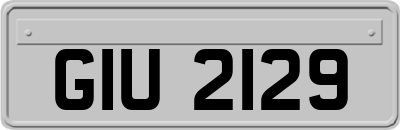 GIU2129
