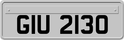 GIU2130