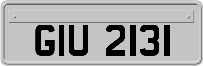 GIU2131