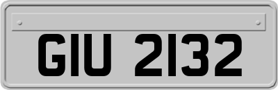 GIU2132