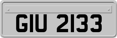 GIU2133