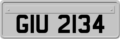 GIU2134