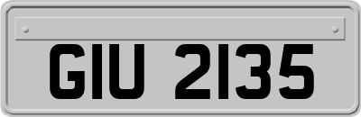 GIU2135