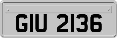 GIU2136