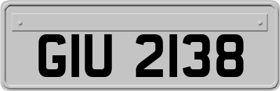 GIU2138