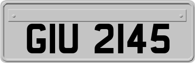 GIU2145