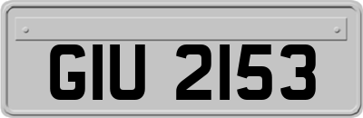 GIU2153