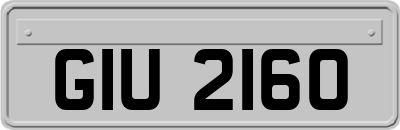 GIU2160
