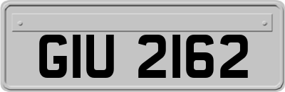 GIU2162