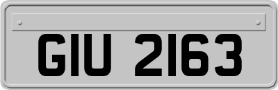 GIU2163