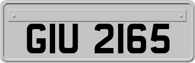 GIU2165