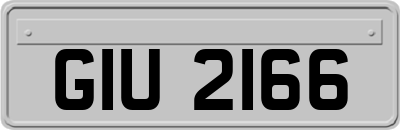 GIU2166