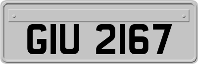 GIU2167