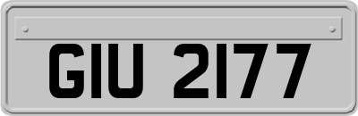GIU2177