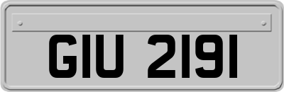 GIU2191