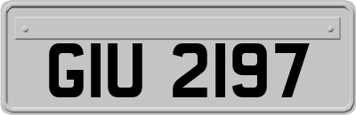 GIU2197