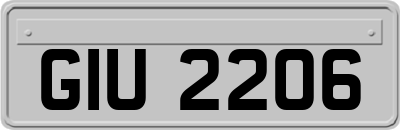 GIU2206