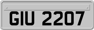 GIU2207
