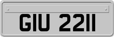 GIU2211