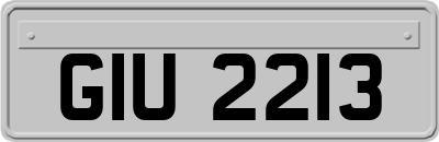 GIU2213