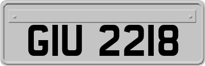 GIU2218