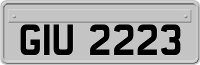 GIU2223