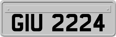 GIU2224