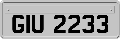 GIU2233