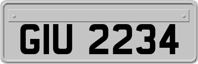 GIU2234