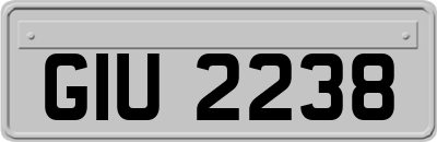 GIU2238