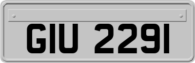 GIU2291