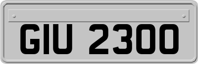 GIU2300