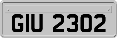 GIU2302