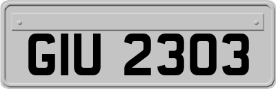 GIU2303