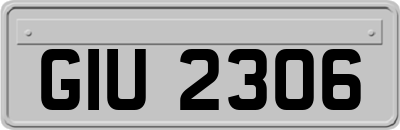 GIU2306