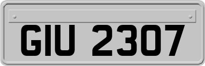 GIU2307