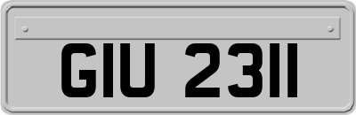 GIU2311