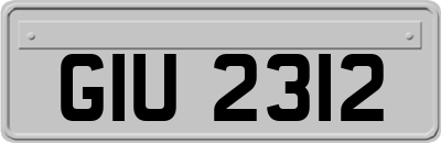 GIU2312