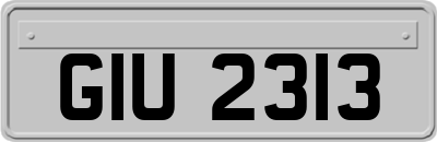 GIU2313