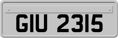 GIU2315