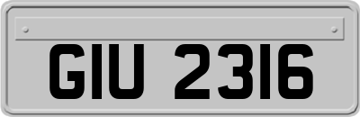 GIU2316