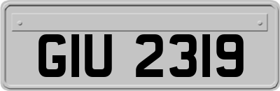 GIU2319