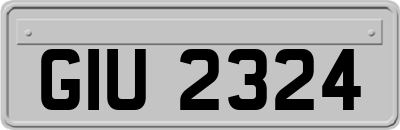 GIU2324