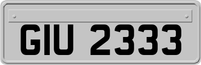 GIU2333