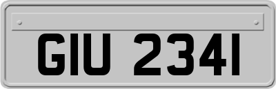 GIU2341