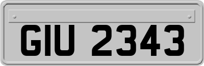GIU2343